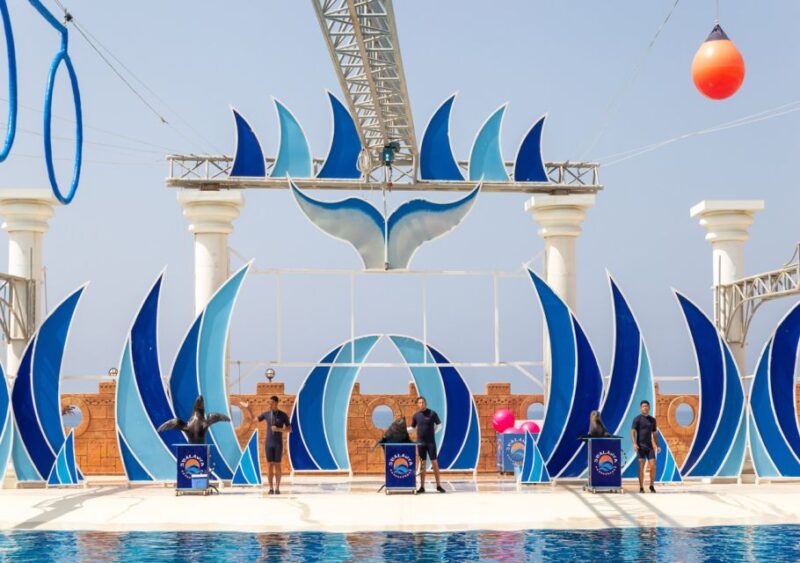 From City of Side/Alanya: Sealanya Dolphin Show W/ Transfers - Experience Highlights
