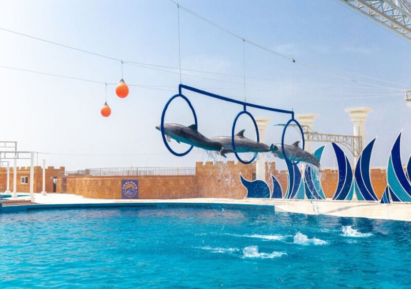 From City of Side/Alanya: Sealanya Dolphin Show W/ Transfers - Transportation and Pickup
