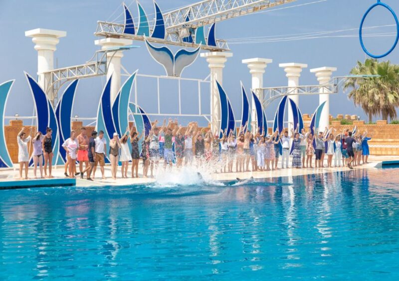 From City of Side/Alanya: Sealanya Dolphin Show W/ Transfers - Customer Reviews and Ratings