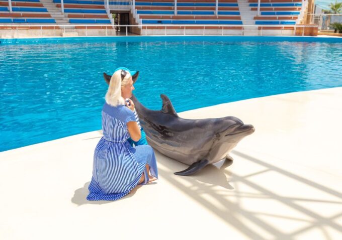 From City of Side/Alanya: Sealanya Dolphin Show W/ Transfers - Booking and Cancellation Policy