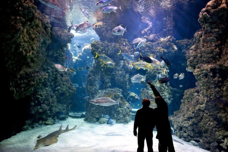 From City of Side: Antalya Aquarium Full-Day Trip - Available Languages