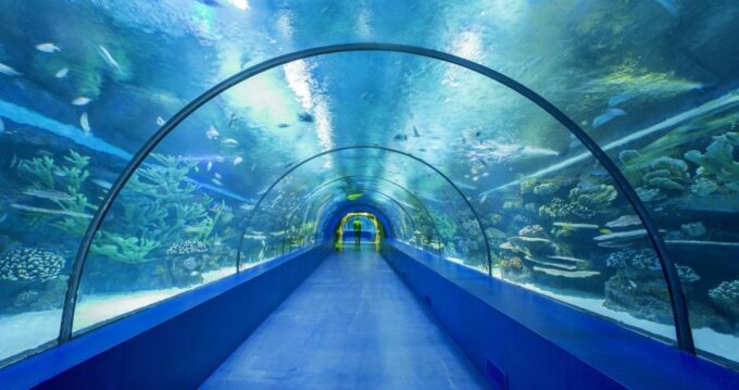 From City of Side: Antalya Aquarium Full-Day Trip - Additional Information