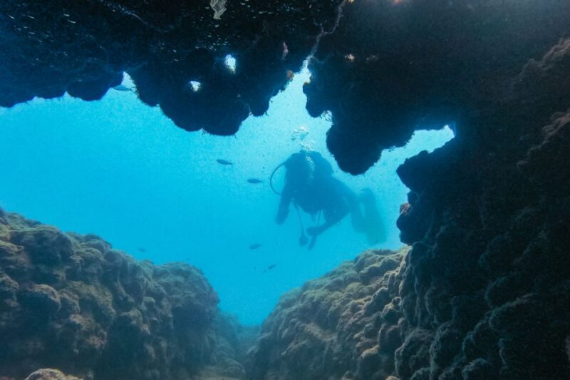 From City of Side: Full-Day Scuba Diving in Manavgat - Key Points