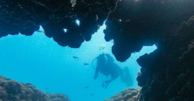 From City of Side: Full-Day Scuba Diving in Manavgat - Diving Locations and Sites