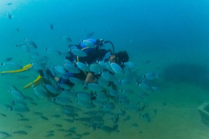 From City of Side: Full-Day Scuba Diving in Manavgat - Pickup and Transportation