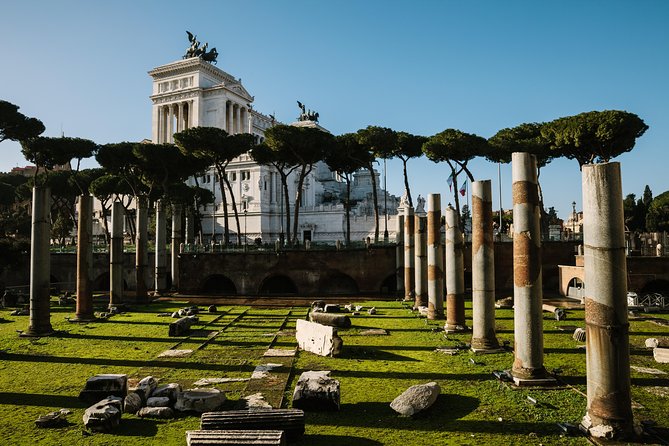 From Civitavecchia: Roman Forum and Colosseum Full-Day Tour - Accessibility and Restrictions