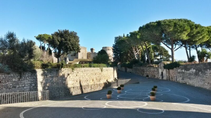 From Civitavecchia: Tarquinia & Unesco Site Visit With Lunch - Customer Reviews and Feedback