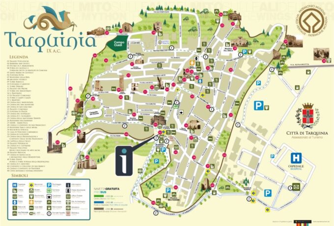 From Civitavecchia: Tarquinia & Unesco Site Visit With Lunch - Discover the Etruscan Museum