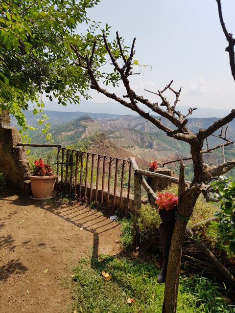 From Civitavecchia: the Dying City and Monster Park Tour - Tour Duration