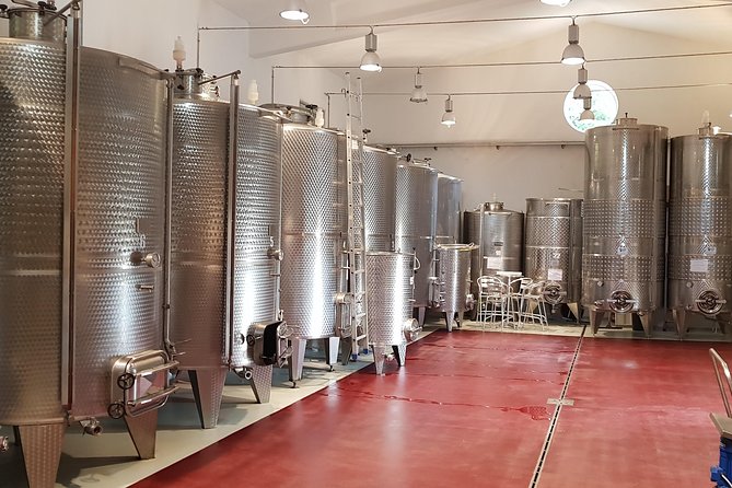 From Civitavecchia: Tuscany-Latium Wine Tour With Tastings - Additional Tour Details and Pricing