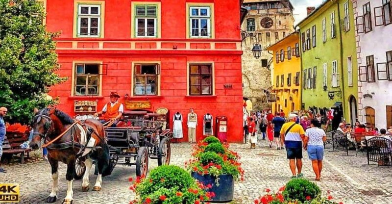 FROM CLUJ: 3 DAY TOUR - HISTORY, UNESCO, WILDLIFE - Itinerary Highlights