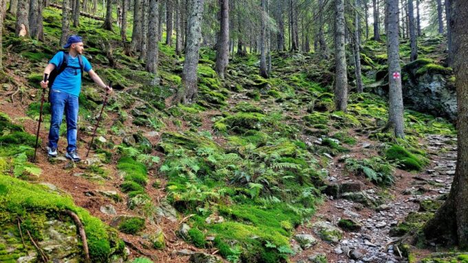 From Cluj : Golden Circle Of Transylvania - Booking and Cancellation