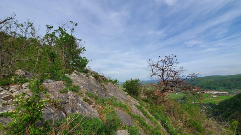 From Cluj: Gorges of Crisul Repede River - Pricing and Booking Options