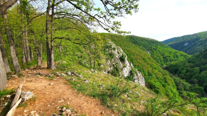 From Cluj: Gorges of Crisul Repede River - Pickup Locations and Itinerary