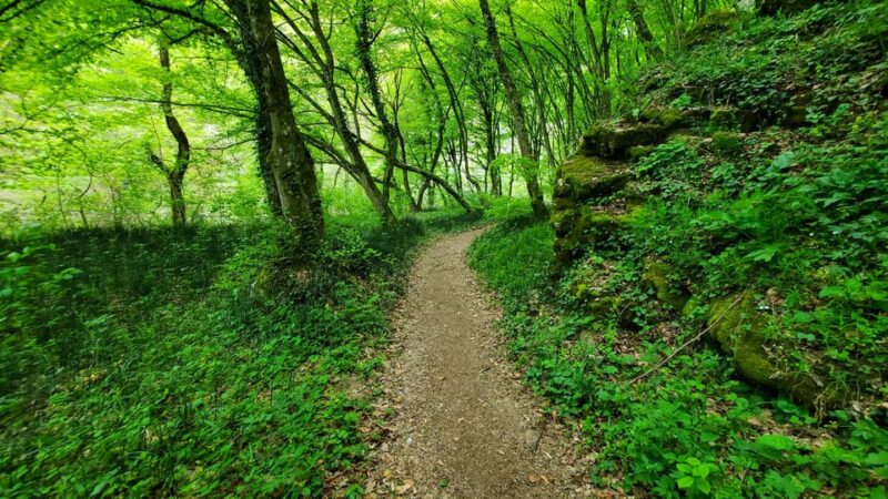From Cluj: Gorges of Crisul Repede River - Participant Requirements and Restrictions