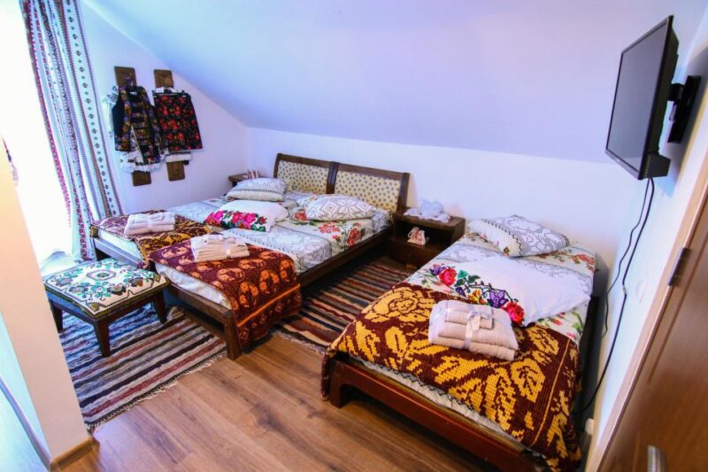 From Cluj: Maramures Activ Tour - Tour Highlights