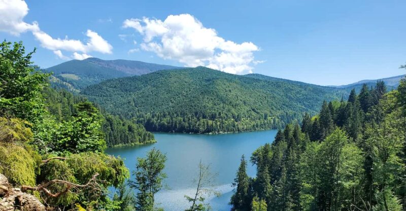 From Cluj: Mountain Bike Around Lake Dragan - Included and Excluded Items
