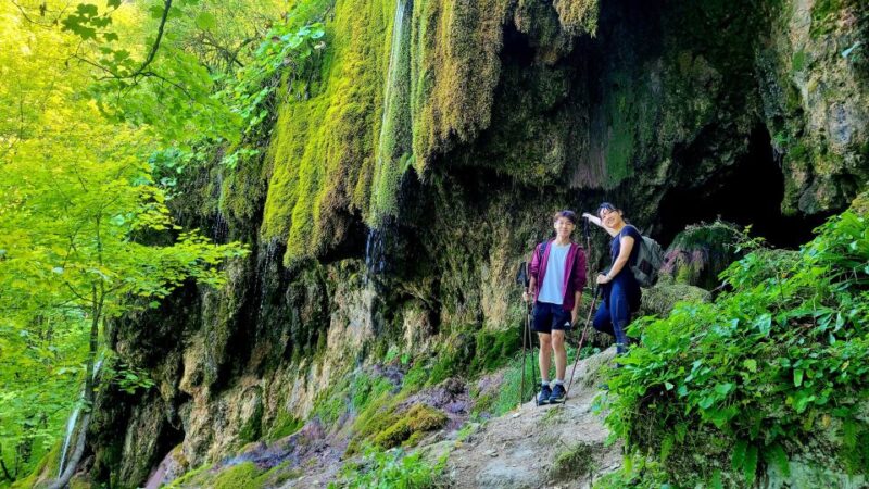 From Cluj-Napoca: Apuseni Mountains Hiking Guided Day Tour - Key Points