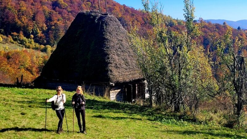 From Cluj-Napoca: Apuseni Mountains Hiking Guided Day Tour - Physical Requirements and Suitability