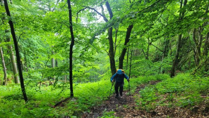 From Cluj-Napoca: Apuseni Mountains Hiking Guided Day Tour - Customer Feedback