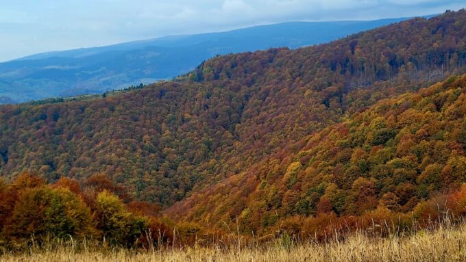 From Cluj-Napoca: Apuseni Mountains Hiking Guided Day Tour - Booking and Availability