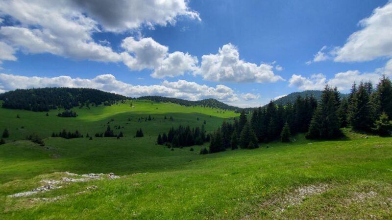 From Cluj-Napoca: Carpathian Mountains Guided Scenic Hike - Key Points