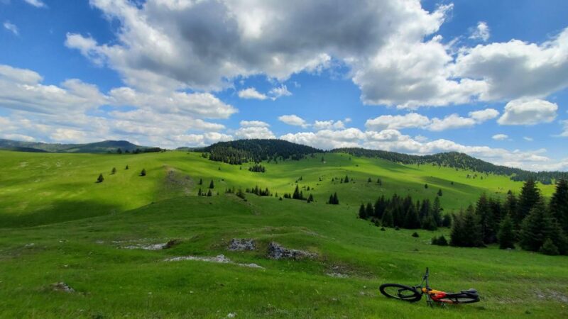 From Cluj-Napoca: Carpathian Mountains Guided Scenic Hike - Hiking Experience