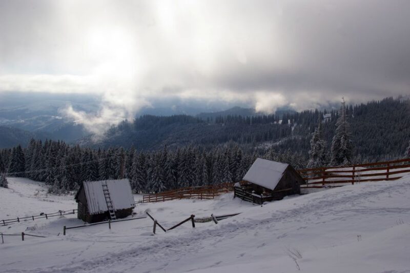 From Cluj-Napoca: Day Hike to Vlădeasa Peak - Itinerary and Highlights