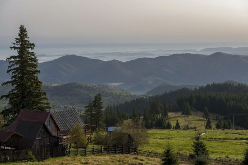 From Cluj-Napoca: Day Hike to Vlădeasa Peak - Difficulty and Recommendations