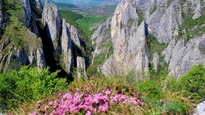 From Cluj: Turda Salt Mine, Gorge, and Remetea Full-Day Trip - Customer Reviews and Feedback