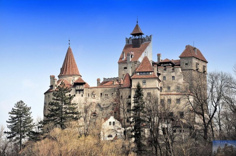 From Cluj: Two-Day Castle Tour in Transylvania - Guided Tour Details