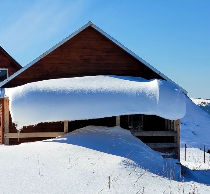 From Cluj: Winter Walking Trip on the Great Mountain - Pricing and Inclusions