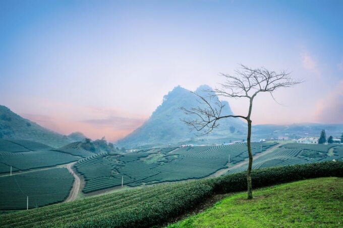 From Cochin: 04 Night/05 Day Kerala Tour - Booking and Cancellation