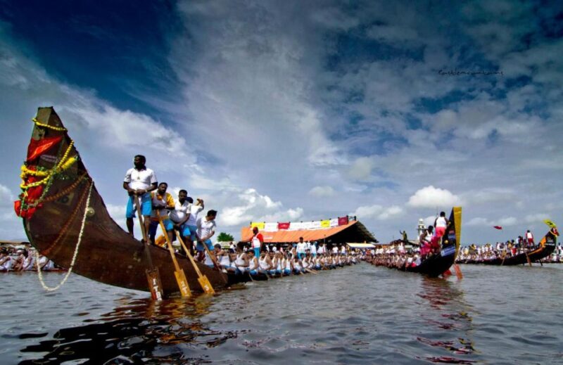 From Cochin: 8 Day Kerala Tour Package With Houseboat Stay - Thekkady and Periyar Wildlife Sanctuary
