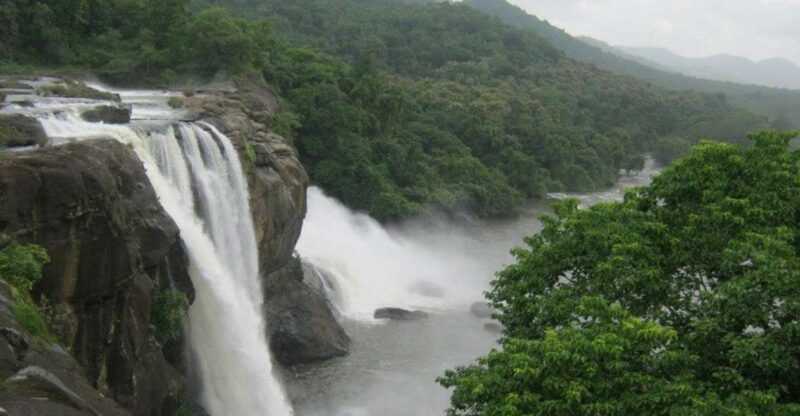From Cochin: Athirappilly Waterfall Excursion With Lunch - Itinerary Highlights