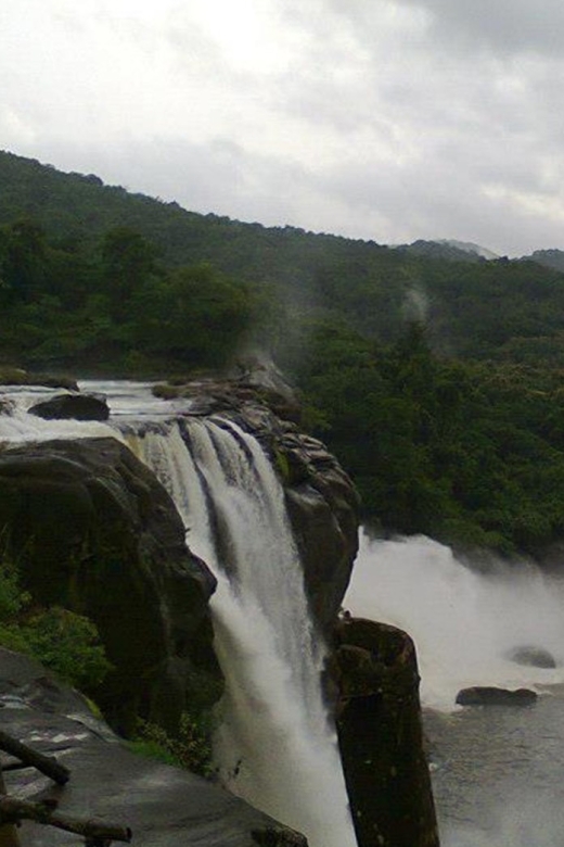 From Cochin: Athirappilly Waterfall Excursion With Lunch - Included Amenities