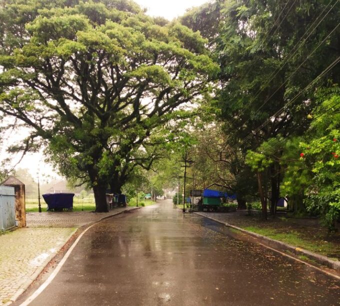 From Cochin: Fort Kochi and Mattancherry Sightseeing Tour - Frequently Asked Questions