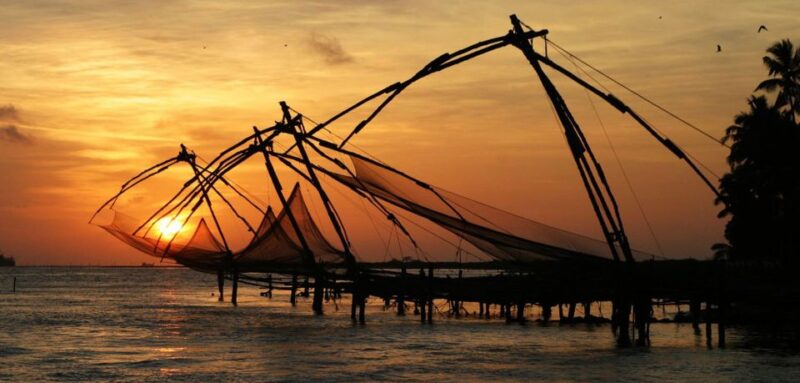 From Cochin Port: Backwaters by Houseboat - Highlights of the Experience