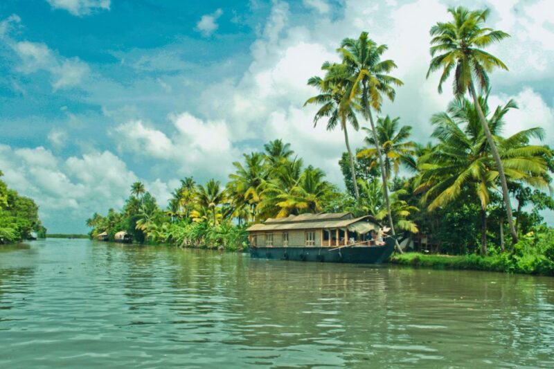 From Cochin Port: Backwaters by Houseboat - Transportation and Accessibility