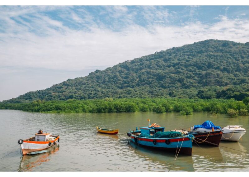 From Colaba: Half-Day Sightseeing Tour With Elephanta Caves - Included in the Tour