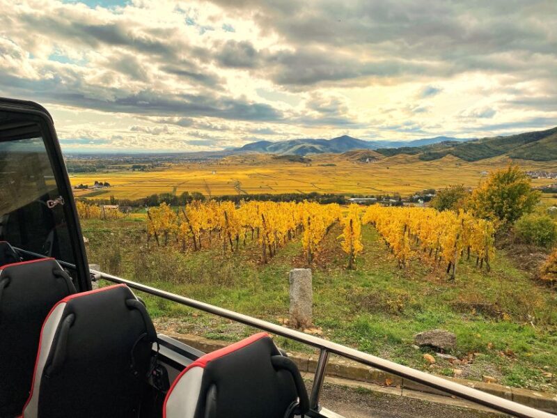 From Colmar: Alsace Medieval and Wine Tasting Day Tour - Key Points