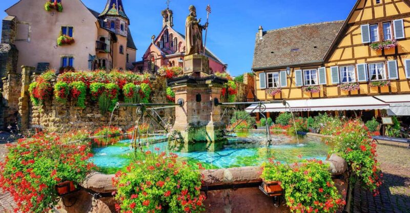 From Colmar: Alsace Wine Route Tour Half Day - Transportation and Driver Information