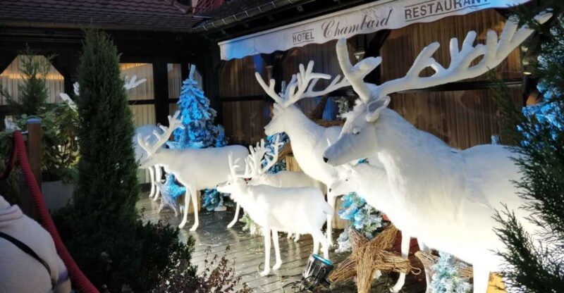 From Colmar: Christmas Markets Across 3 Borders - Group Size and Pickup