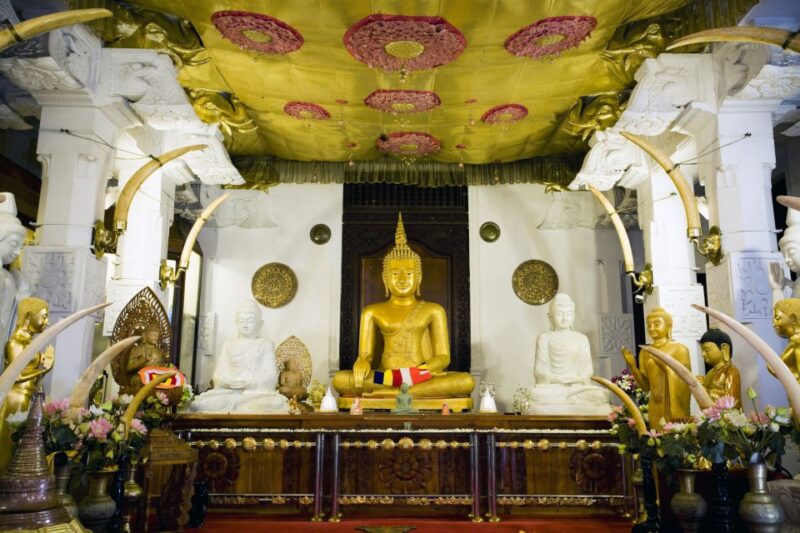 From Colombo: 2-Day All-Inclusive Kandy & Nuwara Eliya Tour - Itinerary Highlights