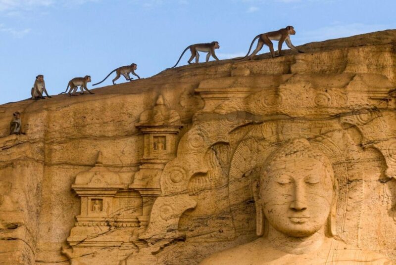 From Colombo: 4-Day Essence of Sri Lanka Heritage Tour - Accommodation and Transportation