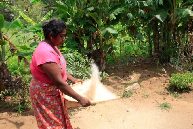 From Colombo: 4-Day Essence of Sri Lanka Heritage Tour - Village Life Experience