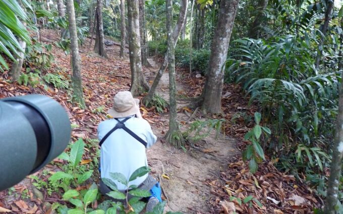 From Colombo: 5-Day Private Wildlife Photography Tour - Reservation and Cancellation