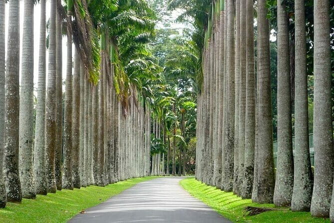 From Colombo Airport to Sigiriya or Kandy Private Transfer - Practical Details and Tips