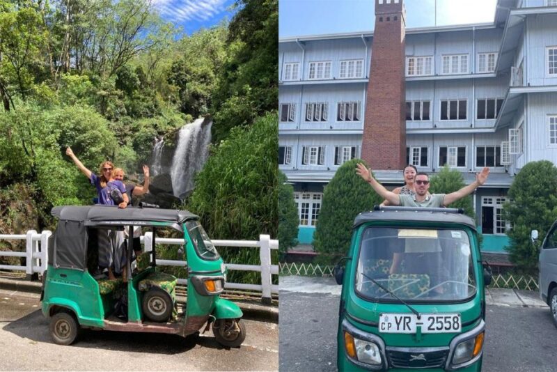 From Colombo: Ambuluwawa Tower and Pinnawala Day Trip - Tea Factory Visit