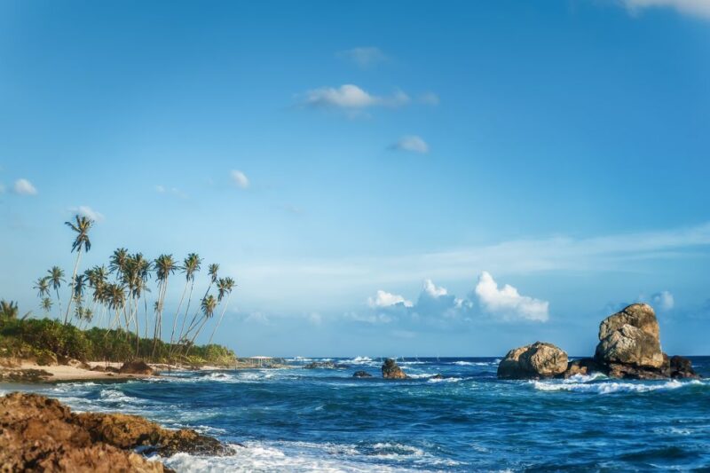 From Colombo: Day Trip to Galle City, Koggala and Unawatuna - Frequently Asked Questions